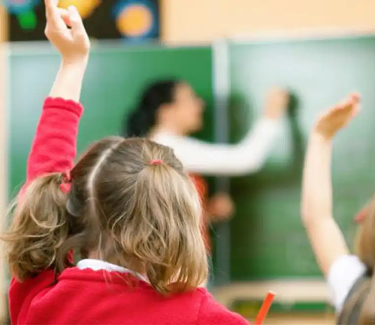 Students raising their hands in classroom