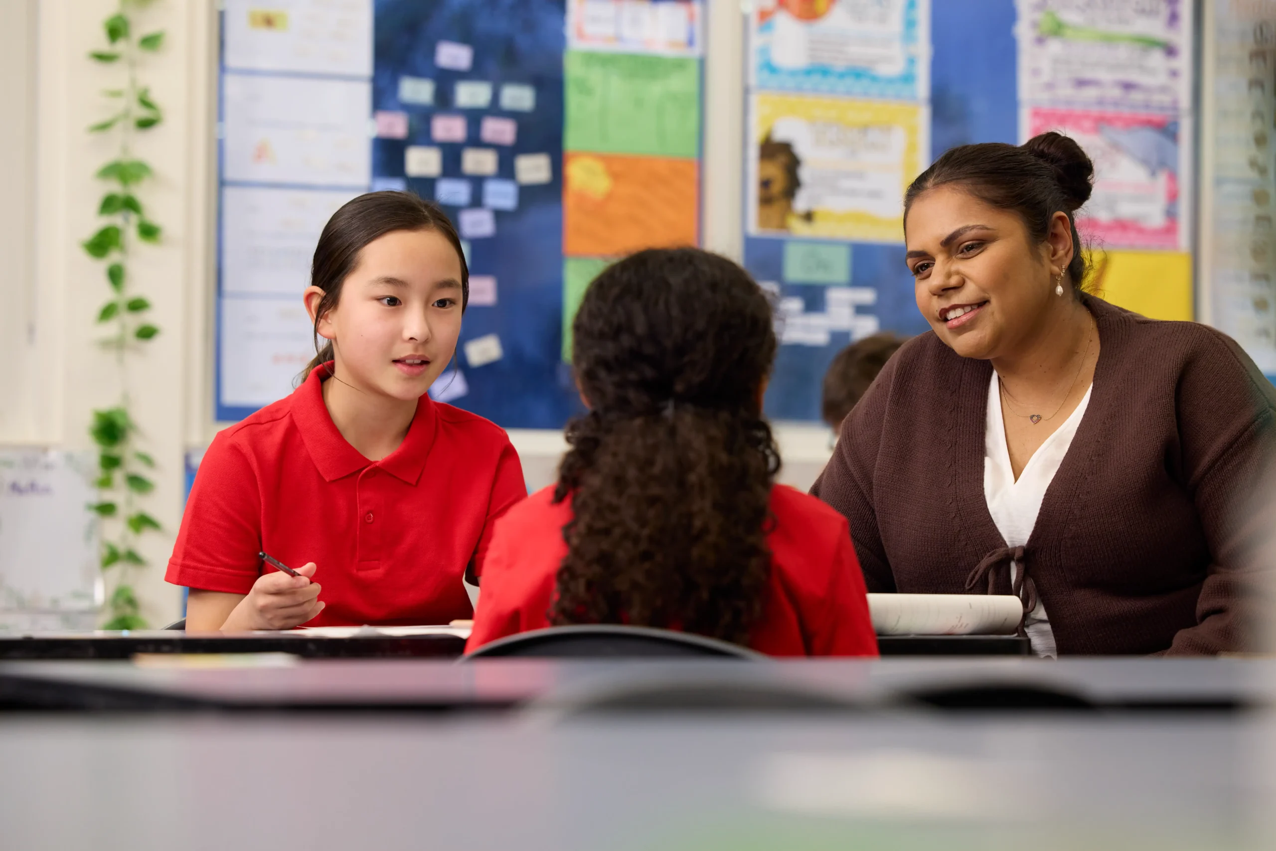 What skills do primary teachers need for today’s diverse classrooms?
